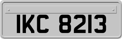 IKC8213