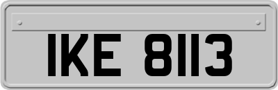 IKE8113