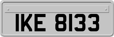 IKE8133