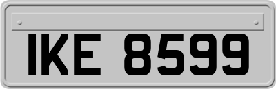 IKE8599