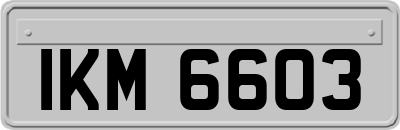 IKM6603