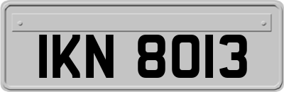 IKN8013