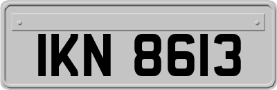 IKN8613