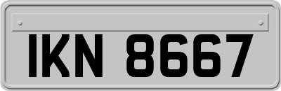 IKN8667