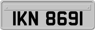 IKN8691