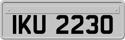 IKU2230