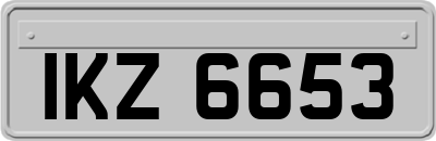 IKZ6653