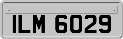 ILM6029