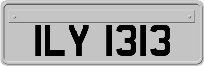 ILY1313