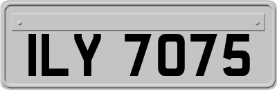 ILY7075