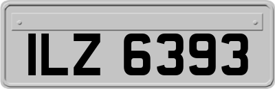 ILZ6393