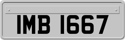 IMB1667