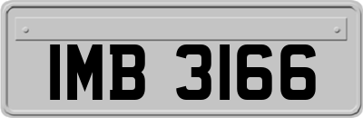 IMB3166
