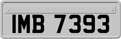 IMB7393