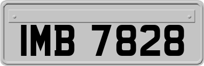 IMB7828