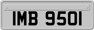 IMB9501