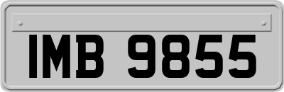 IMB9855