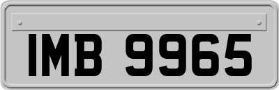 IMB9965