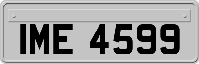 IME4599