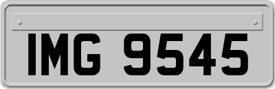 IMG9545