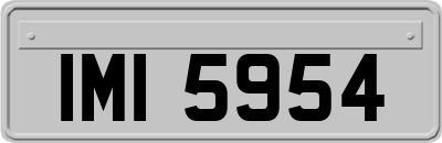 IMI5954
