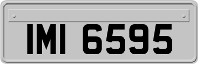 IMI6595