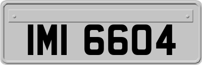 IMI6604