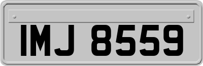 IMJ8559