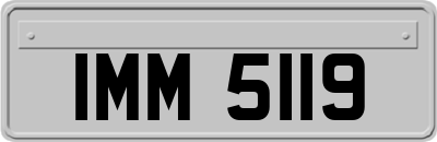 IMM5119