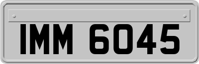 IMM6045