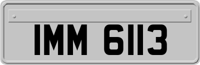 IMM6113