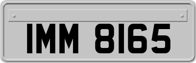 IMM8165
