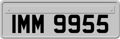 IMM9955