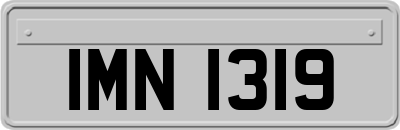 IMN1319