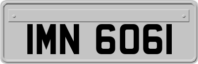 IMN6061