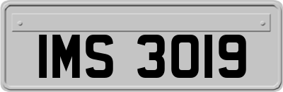 IMS3019