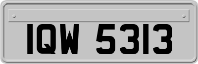 IQW5313