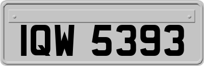 IQW5393