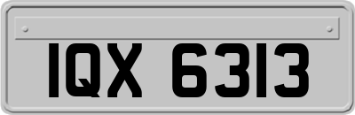 IQX6313