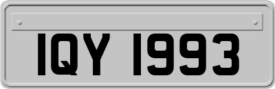 IQY1993