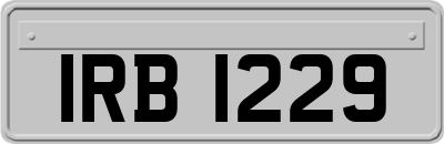 IRB1229