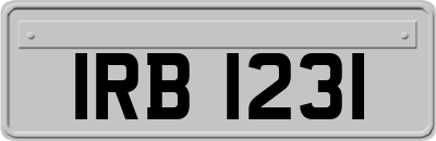 IRB1231