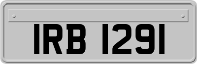 IRB1291