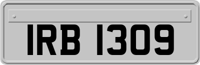 IRB1309