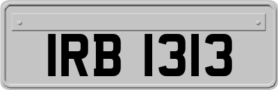 IRB1313