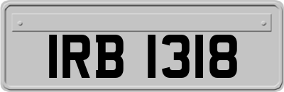 IRB1318