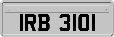 IRB3101