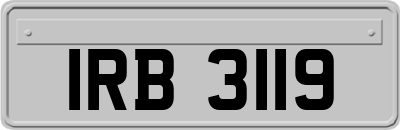 IRB3119