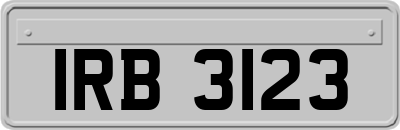 IRB3123