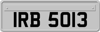 IRB5013